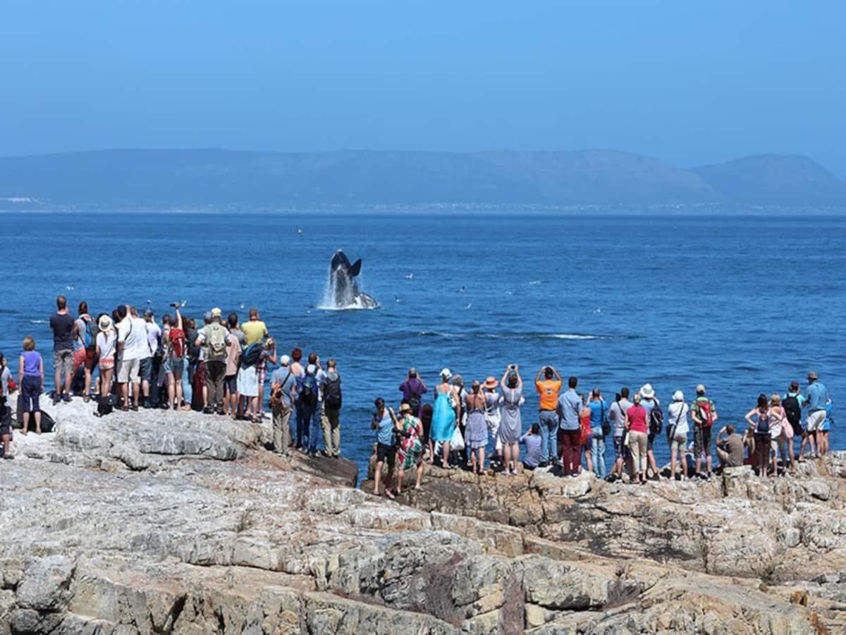 Hermanus Waterfront Apartment Rum bild
